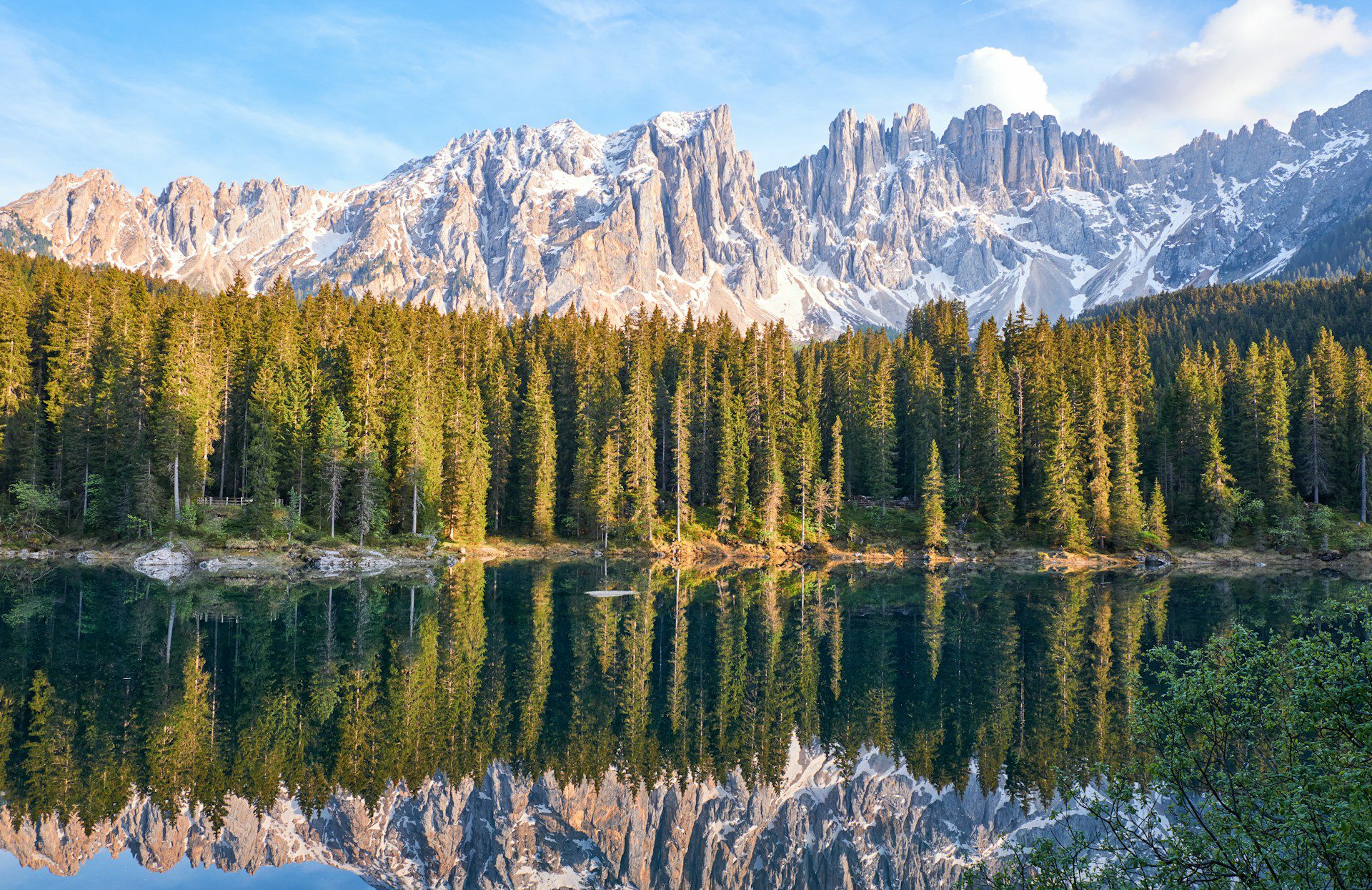 A beautiful landscape of trees and mountains. This is to symbolise the freedom and beauty of our user photos.